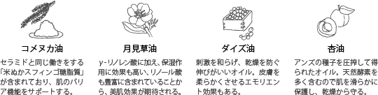 コメヌカ油、月見草油、ダイズ油、杏油